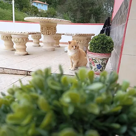 La Casina Independiente De Bruno,de Dos Cerca De La Playa